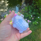 Custom Crochet Dog Plush, Pocket Pup Amigurumi Stuffed Animal, Breed Colors Handmade Toy