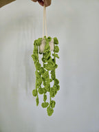 Crochet Hanging Plant Plush: Heart Leaf Vines, Boho Room Decor, Handmade Amigurumi