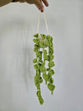 Crochet Hanging Plant Plush: Heart Leaf Vines, Boho Room Decor, Handmade Amigurumi