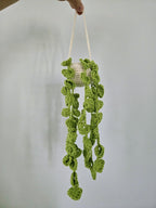 Crochet Hanging Plant Plush: Heart Leaf Vines, Boho Room Decor, Handmade Amigurumi